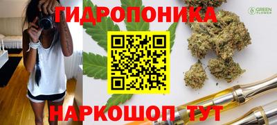 каннабис Новодвинск