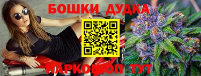 стаф Новозыбков