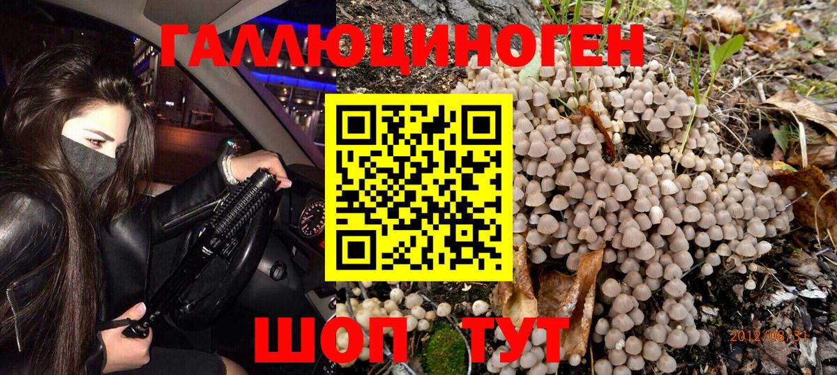 Галлюциногенные грибы мицелий Тамбов